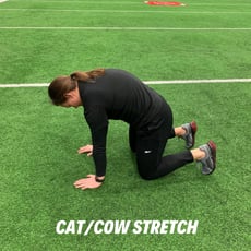 Orthopedic institute athletic trainer demonstrates the cat or cow stretch to help relieve low back pain.