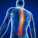 Digital image of human spine illustrating back and neck pain
